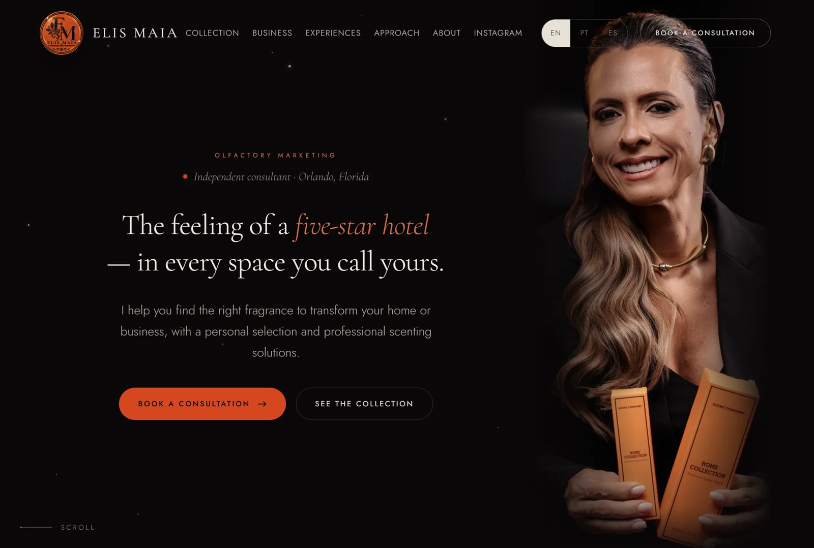 Elis Maia — preview